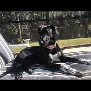 Meet your Posher, Star